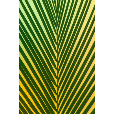 Green Leaves Yellow Background Premium Metal ChromaLuxe Hi Gloss Decor Wall Printed Panel