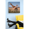 Crossing Giraffs Premium Metal ChromaLuxe Hi Gloss Photo Decor Wall Printed Panel