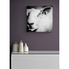 Sheeps a Number Premium Metal ChromaLuxe Hi Gloss Photo Decor Wall Printed Panel