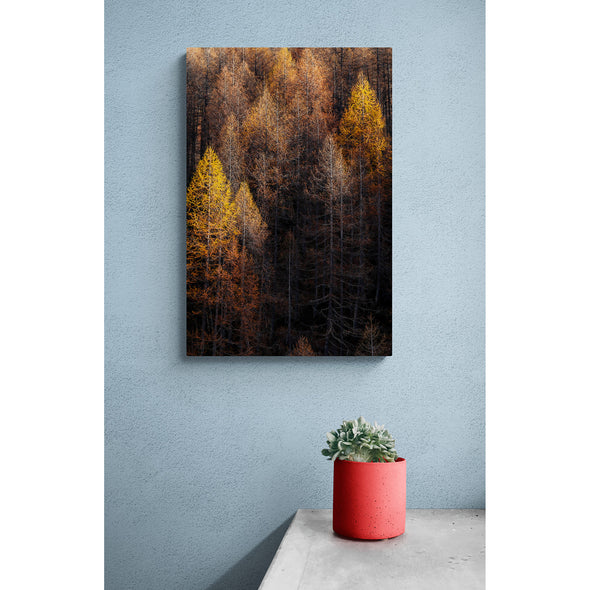 Mountain Tree Premium Metal ChromaLuxe Hi Gloss Decor Wall Printed Panel