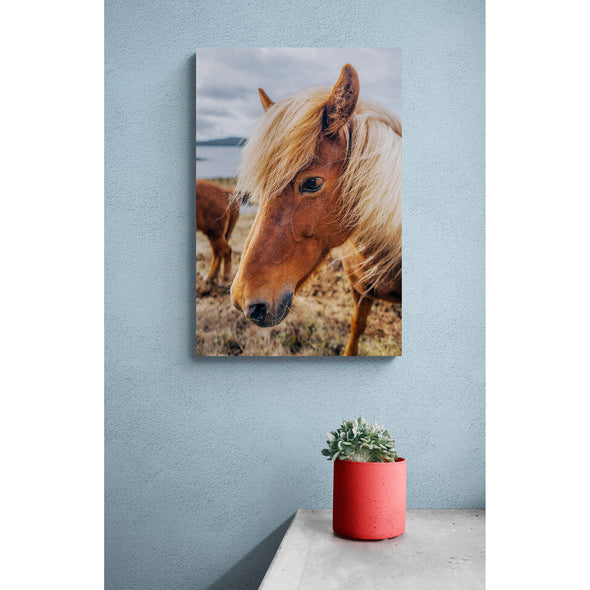 Neigh Portrait, Horse. Premium Metal ChromaLuxe Hi Gloss Decor Wall Printed Panel