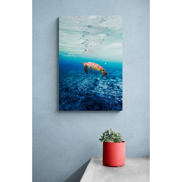 Underwater Turtle Premium Metal ChromaLuxe Hi Gloss Decor Wall Printed Panel