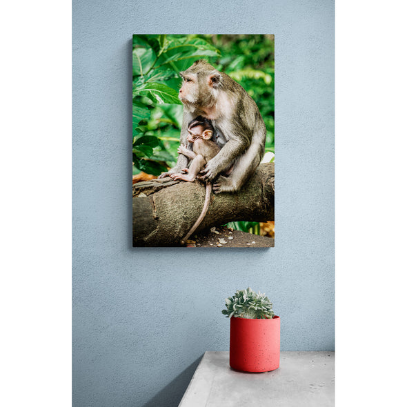 Mother Monkey & Baby Premium Metal ChromaLuxe Hi Gloss Decor Wall Printed Panel