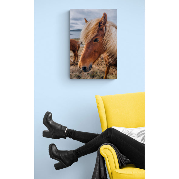 Neigh Portrait, Horse. Premium Metal ChromaLuxe Hi Gloss Decor Wall Printed Panel