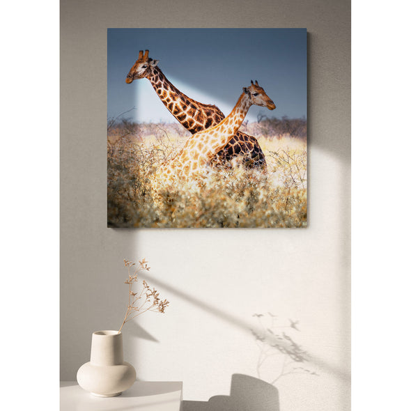 Crossing Giraffs Premium Metal ChromaLuxe Hi Gloss Photo Decor Wall Printed Panel