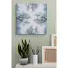Upview Trees Premium Metal ChromaLuxe Hi Gloss Photo Decor Wall Printed Panel
